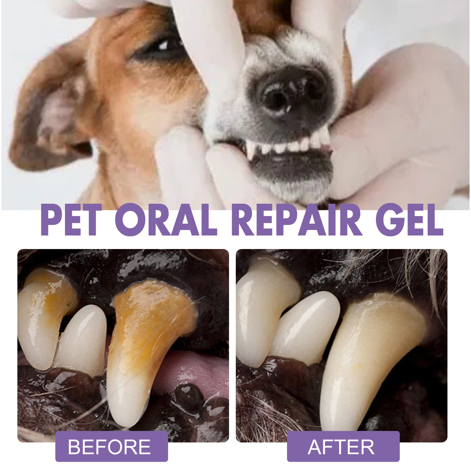 Pet Oral Repair Gel Puppy Tart - Teeth Whitening From Home recension och pris