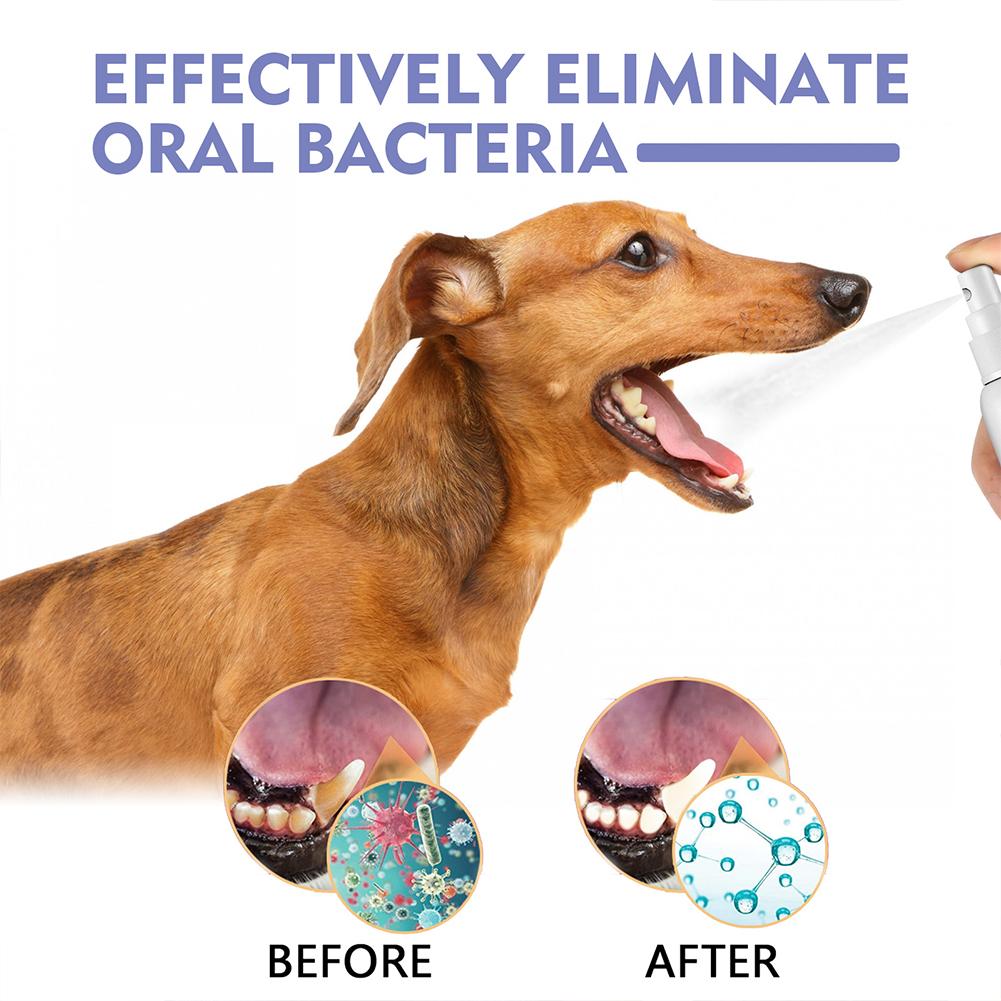 Pet Oral Cleaning Spray Mouth  - Teeth Whitening Products recension och pris