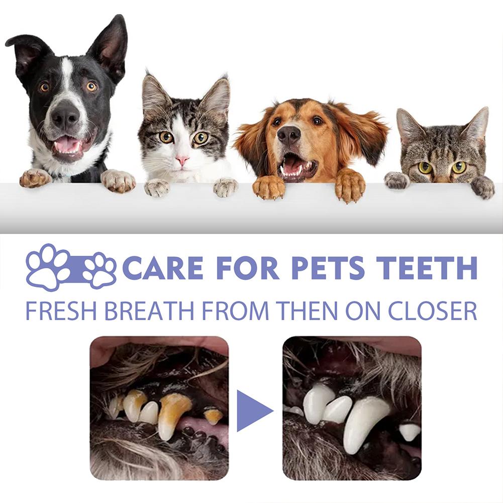 Pet Oral Cleaning Spray Mouth  - Teeth Whitening Products recension och pris